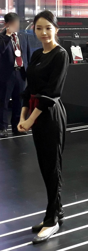 dsfe5.jpg