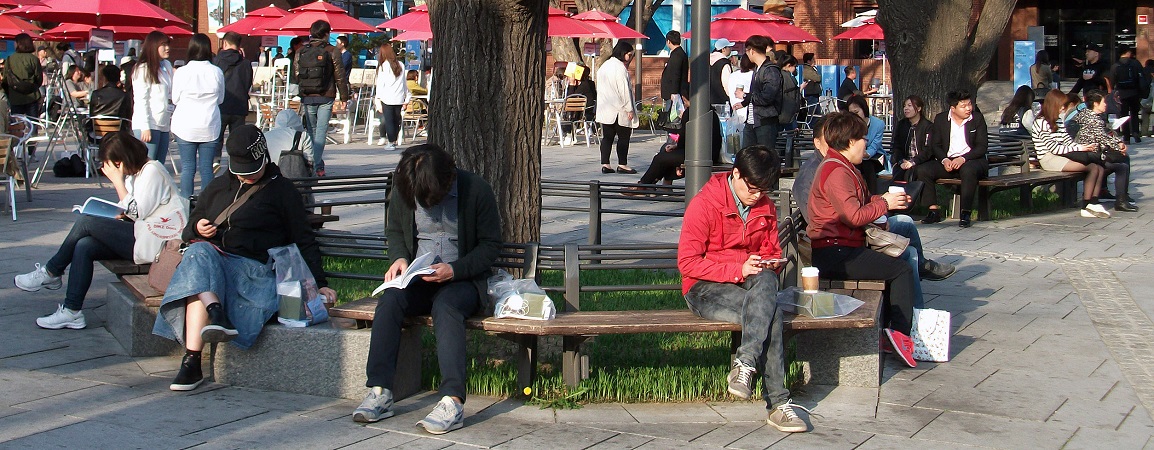 DSCF8779.JPG