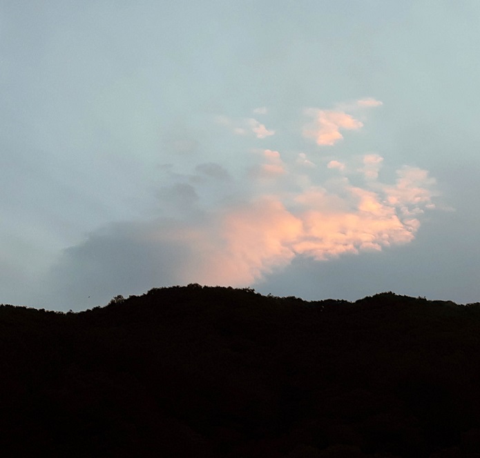 20190814_192924.jpg