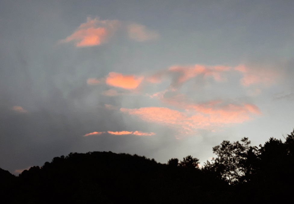 20190814_192919.jpg