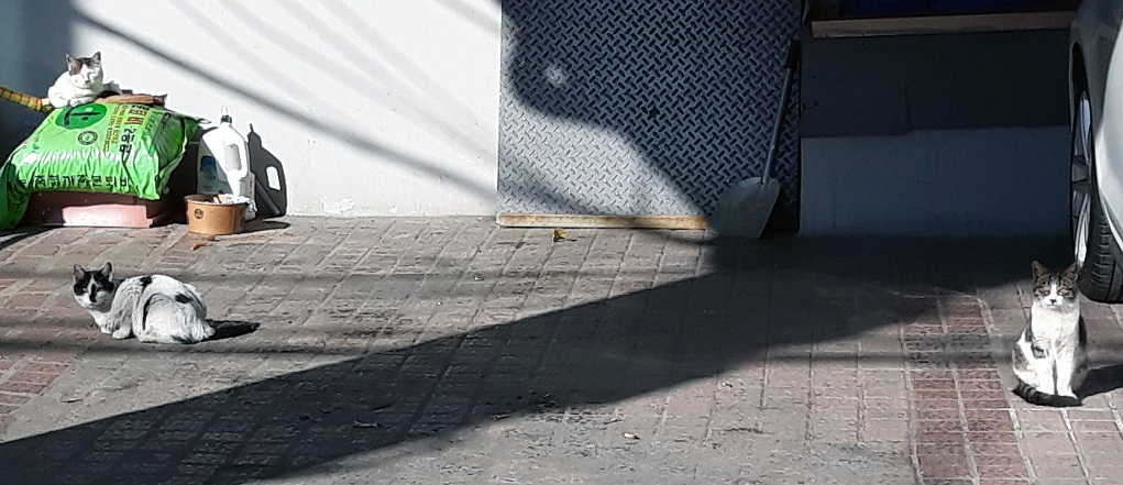 20191216_131141(0).jpg