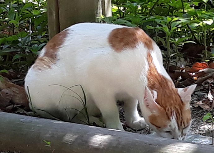 20180526_102651.jpg