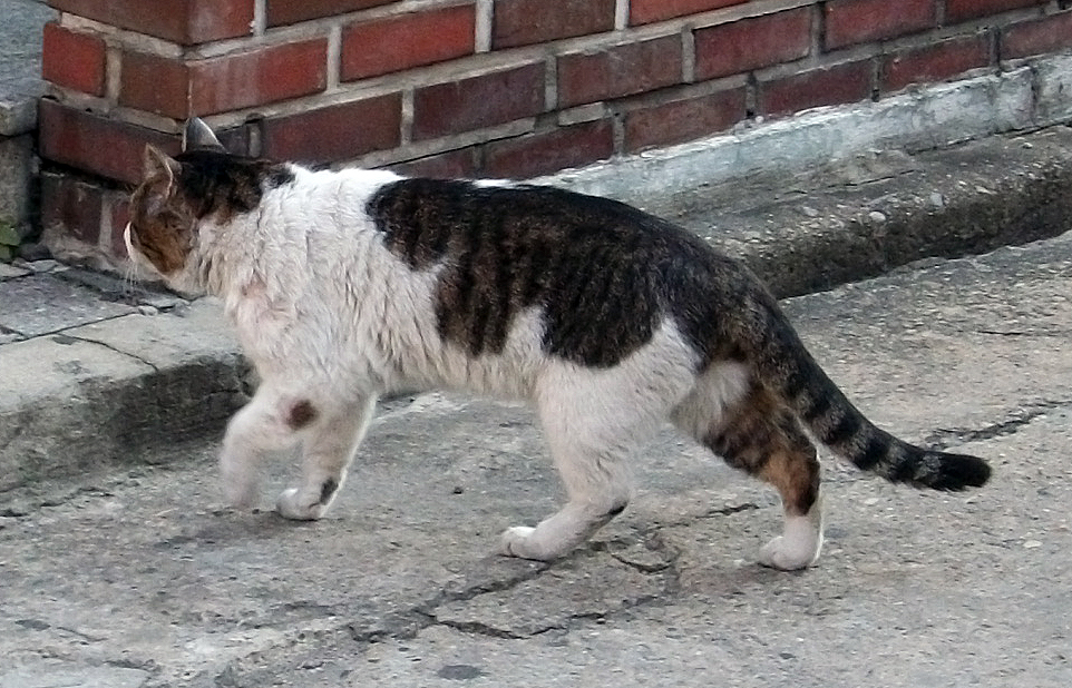 DSCF1562.JPG
