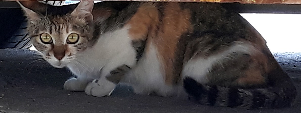20180526_120053.jpg