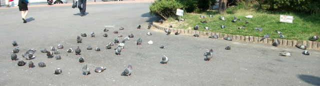 DSCF7541.JPG