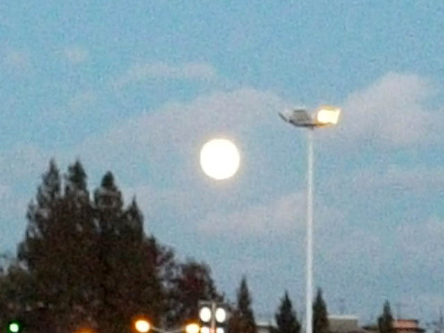 DSCF4992.JPG