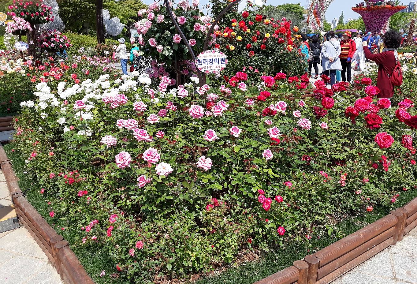 DSCF (40).jpg