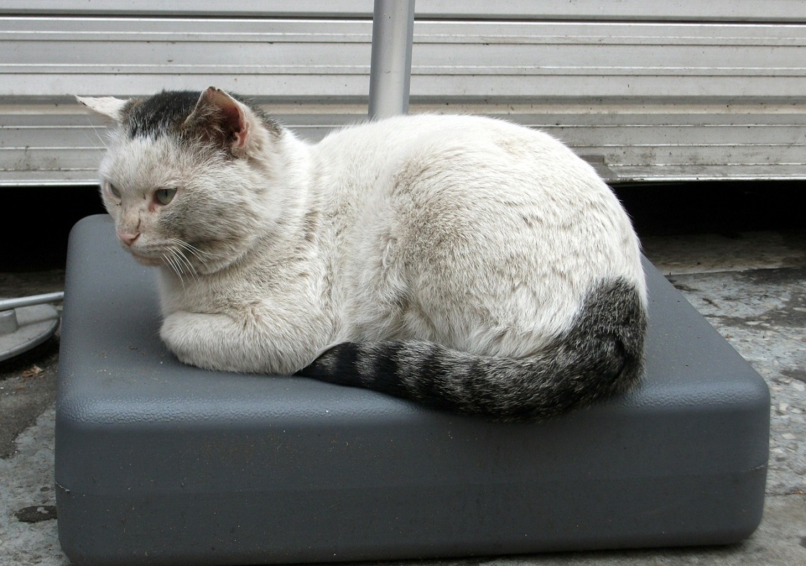 DSCF8689.JPG