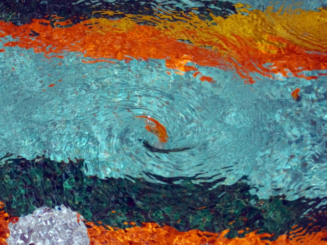 DSCF1790.JPG