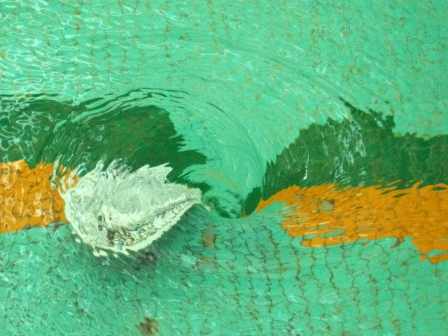 DSCF1786.JPG