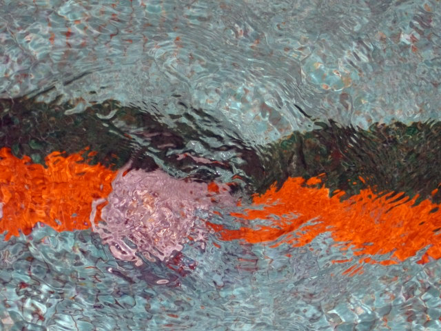 DSCF1791.JPG