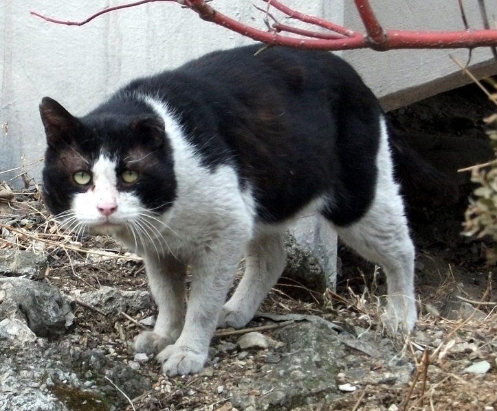 DSCF8714.JPG