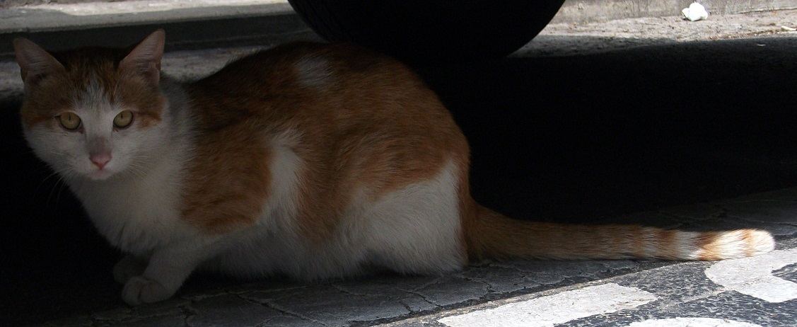 DSCF3061.JPG