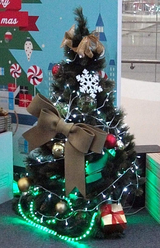 DSCF4380.JPG
