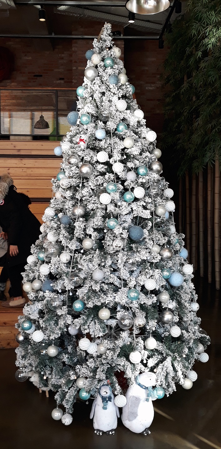 20190108_143221.jpg