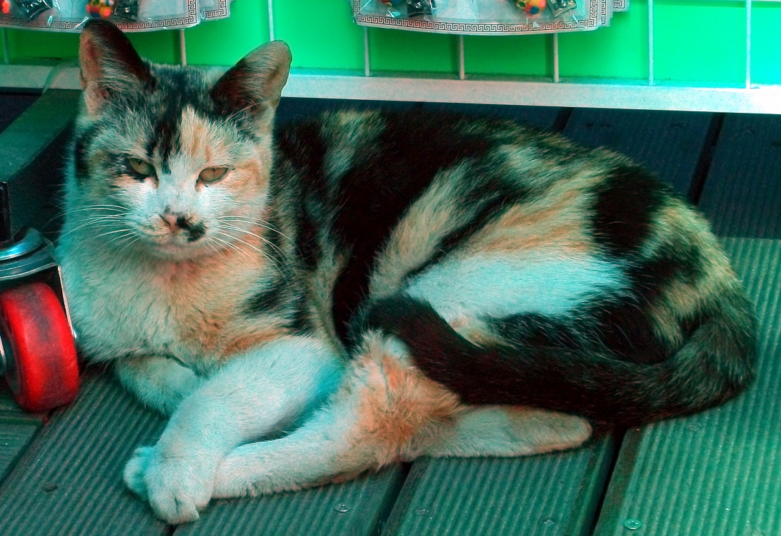DSCF4033.JPG