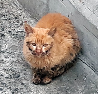 20181022_170927.jpg