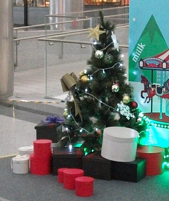 DSCF4381.JPG