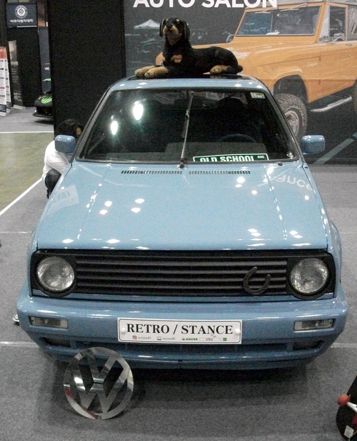 DSCF0100.JPG