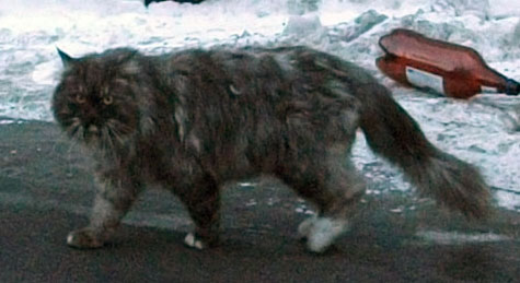 DSCF6066.JPG