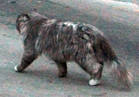 DSCF6067.JPG