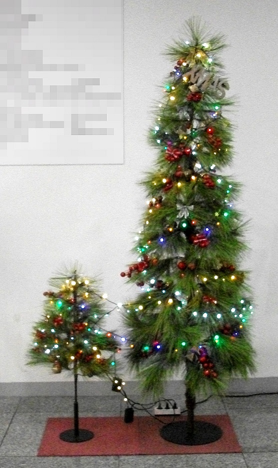 DSCF7628.JPG