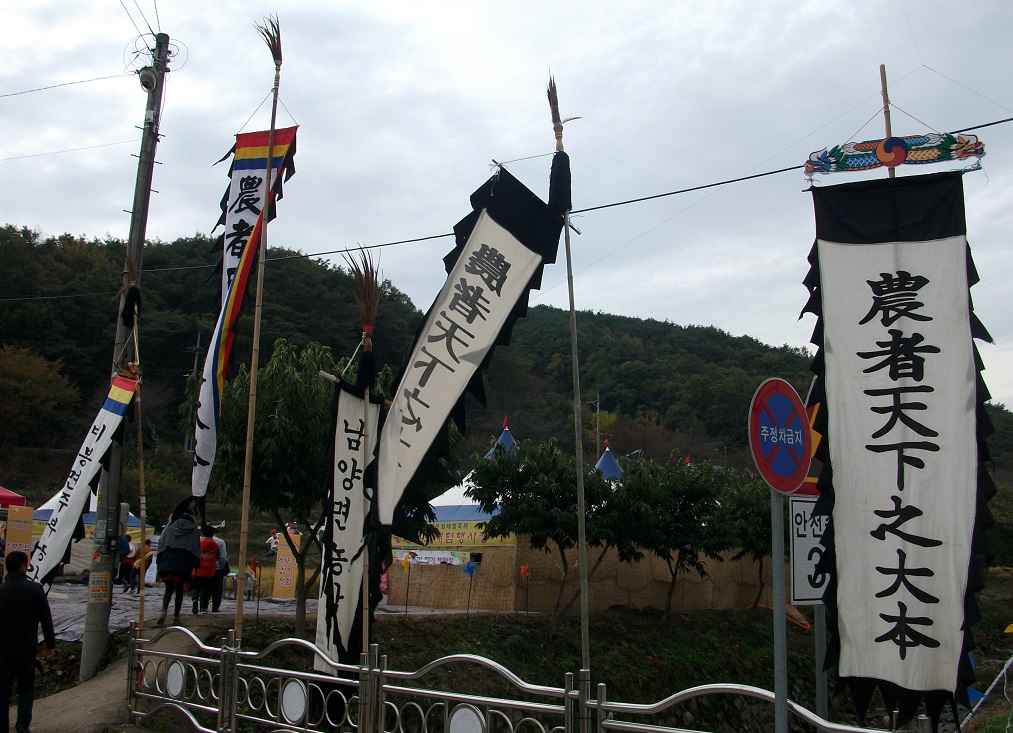 DSCF5905.JPG