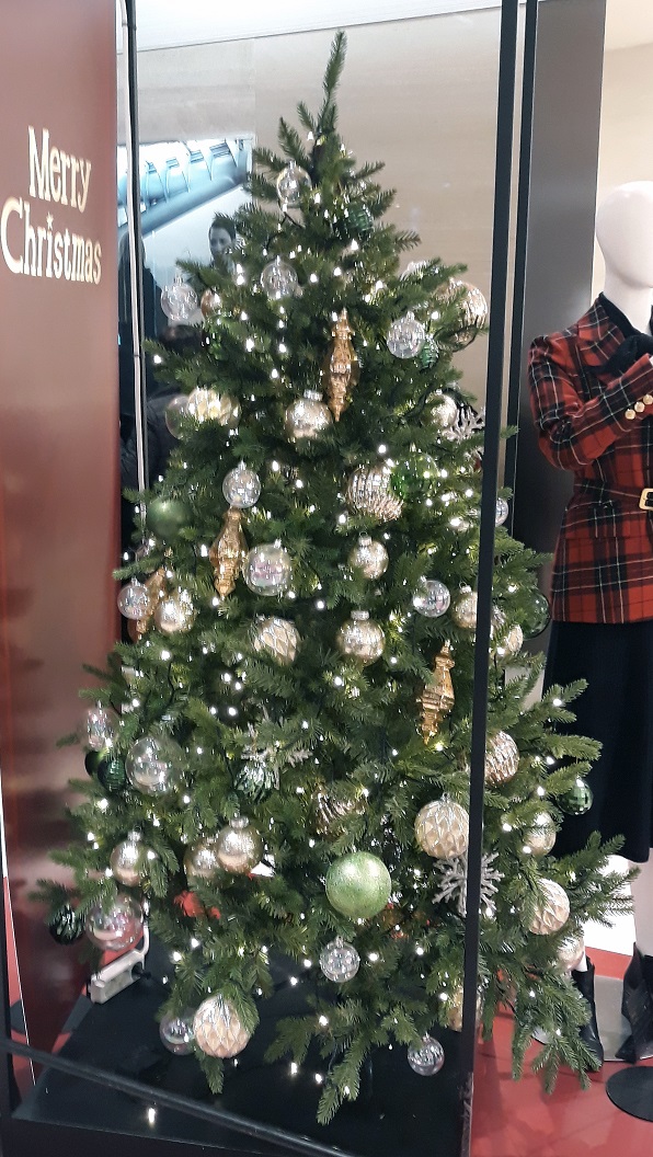 20191206_172249.jpg