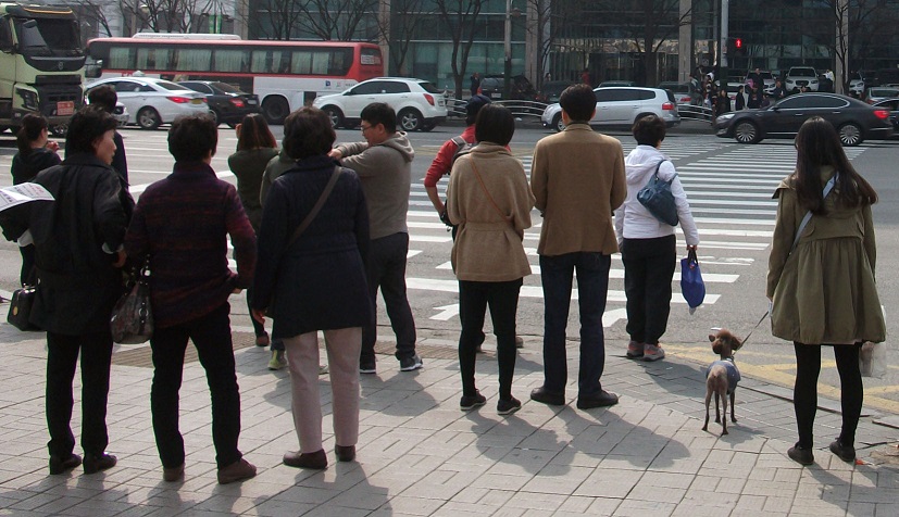 DSCF8836.JPG