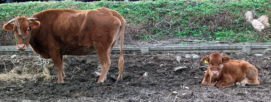 DSCF5911.JPG