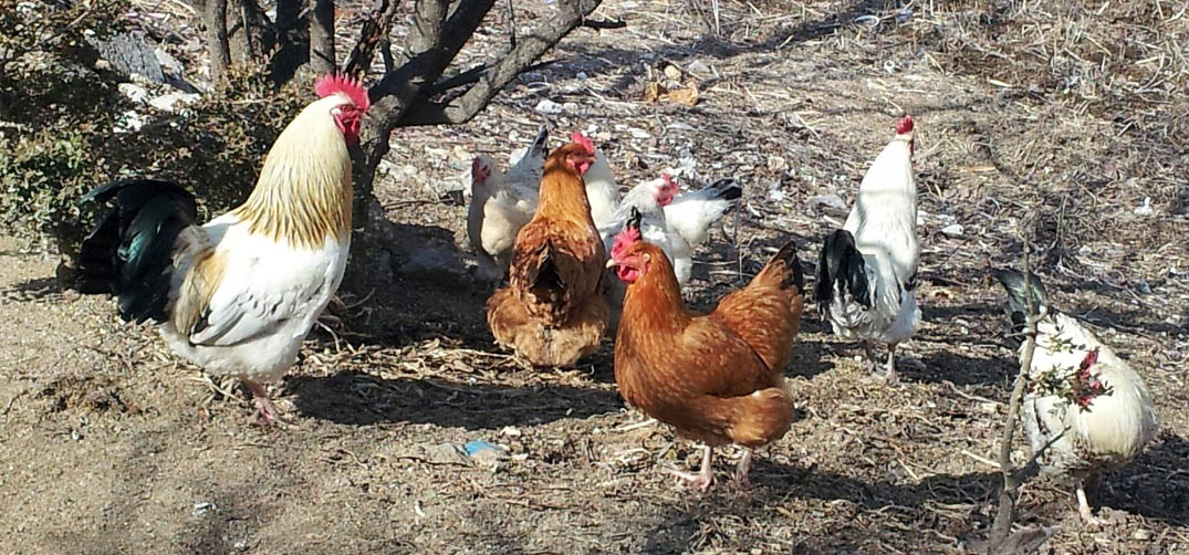 20150226_134804.jpg