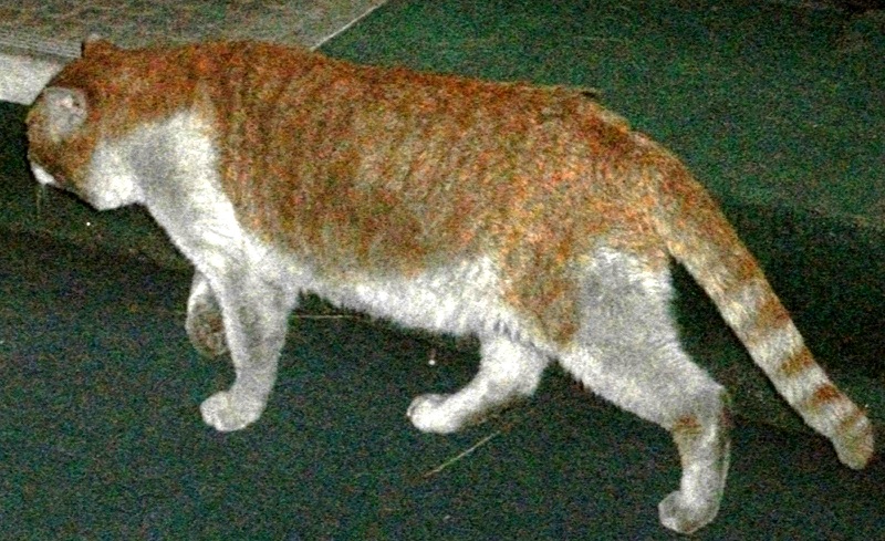 DSCF4050.JPG