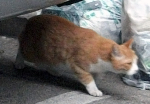 DSCF5648.JPG