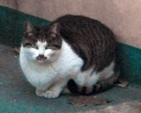 DSCF5618.JPG