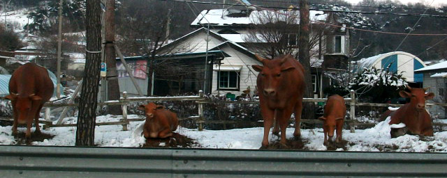 DSCF6765.JPG