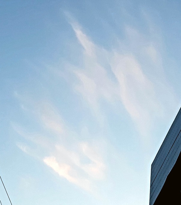 20190601_212613.jpg