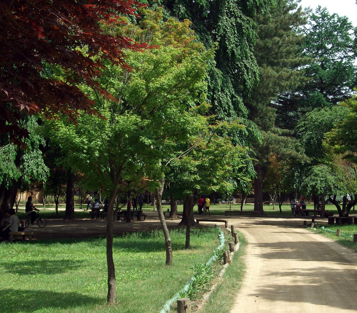 DSCF3880.JPG