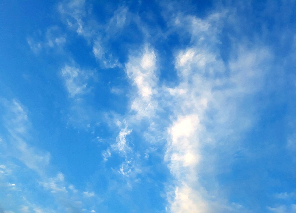 20190601_212626.jpg