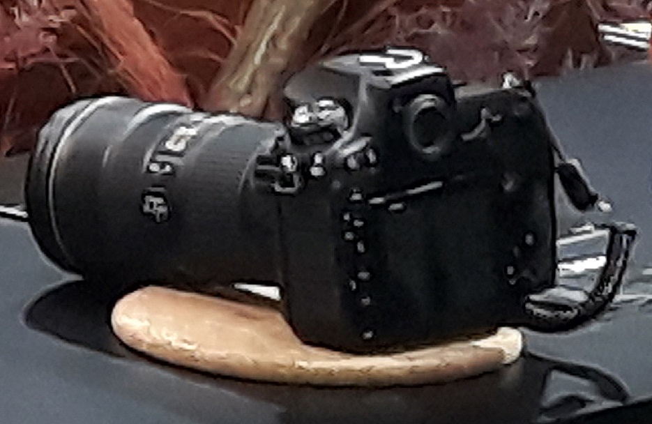 20190602_133133_009 - 복사본.jpg