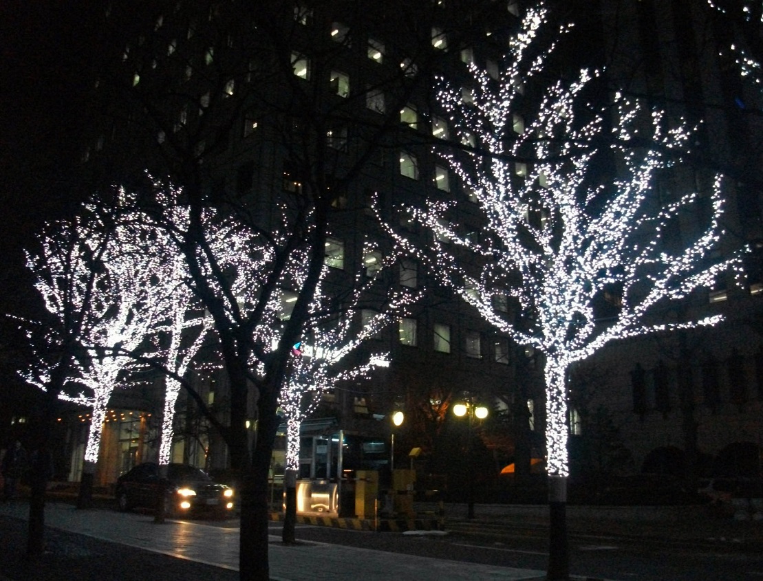 DSCF4581.JPG