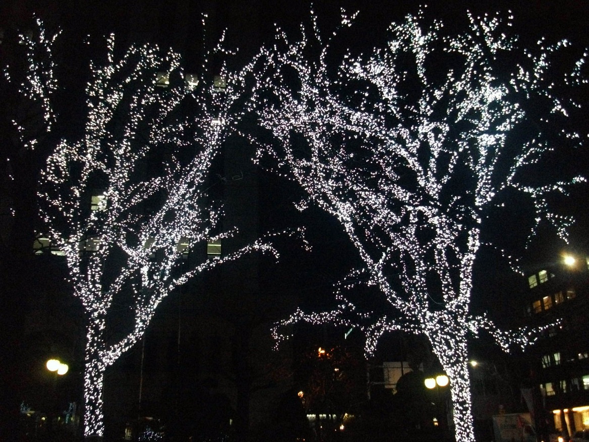 DSCF4582.JPG