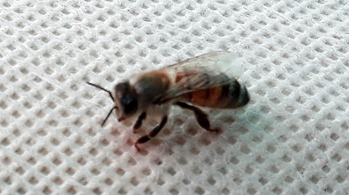20190619_183115.jpg