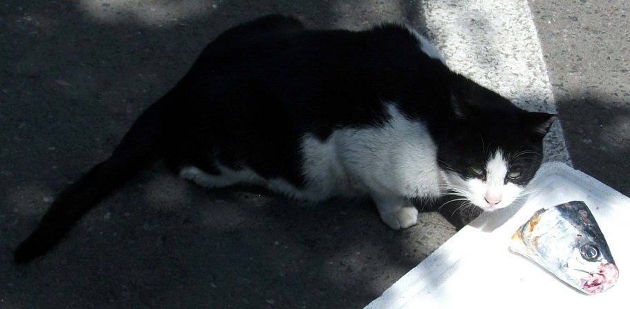 DSCF2931.JPG