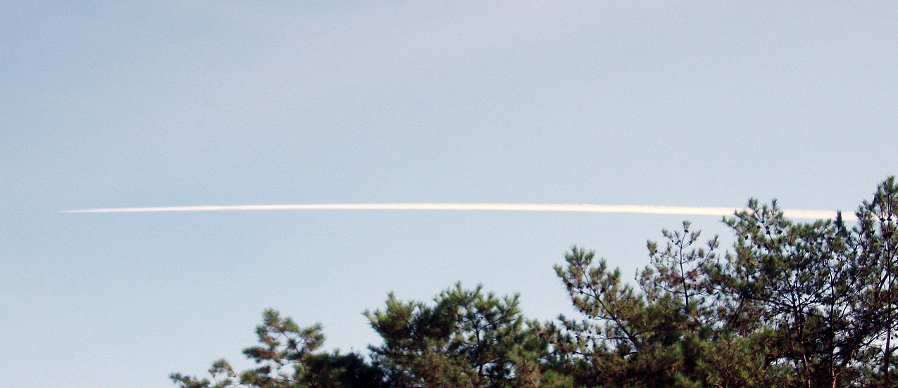 DSCF9904.JPG