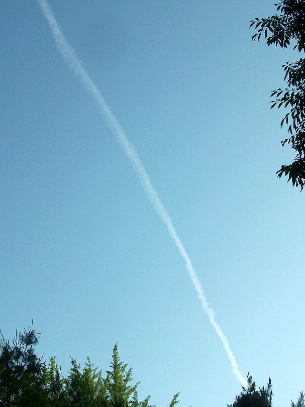 DSCF1378.JPG
