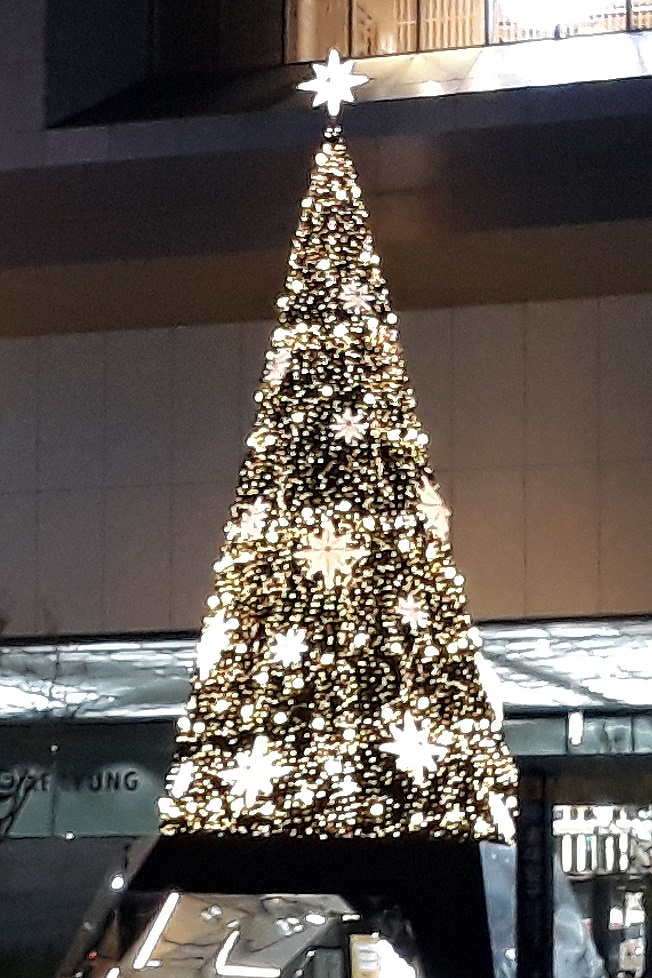 20181202_203213.jpg