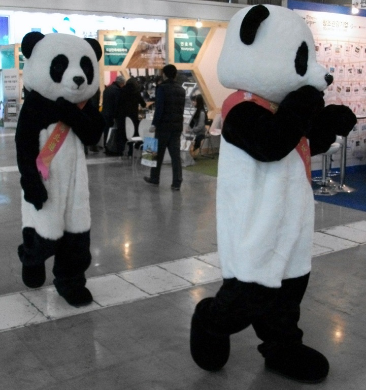 DSCF6955.JPG