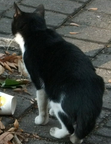 DSCF5270.JPG