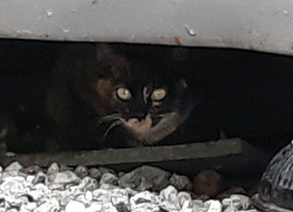20181002_142221.jpg