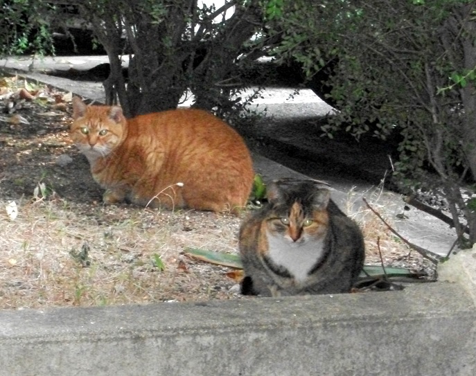 DSCF1107.JPG